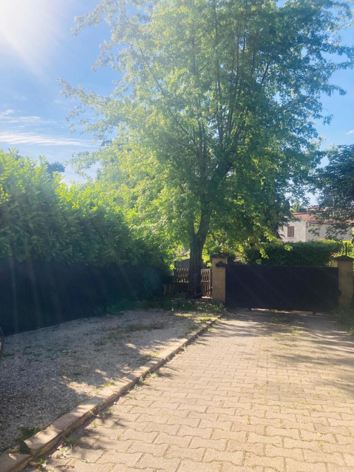 La Petite Noix Apartment Sarlat-la-Caneda Ngoại thất bức ảnh