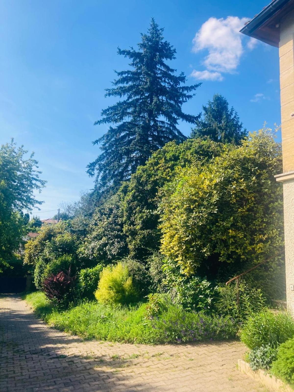 La Petite Noix Apartment Sarlat-la-Caneda Ngoại thất bức ảnh